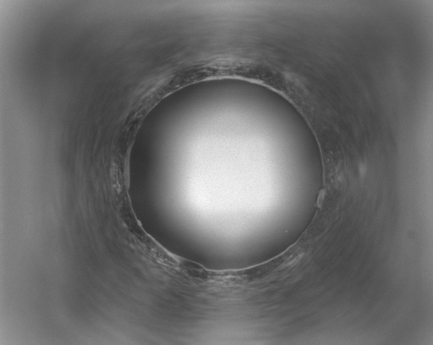 X0000053101253200507251622