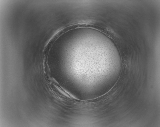 X0000053101256200507251621