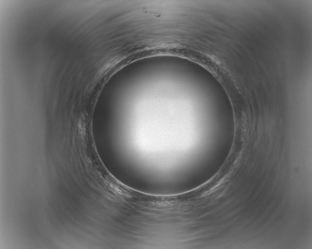 X0000053101257200507251621