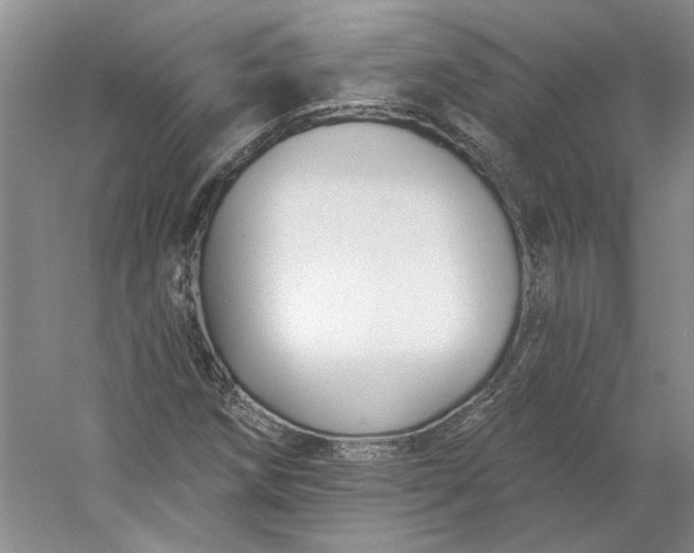 X0000053101258200507251621