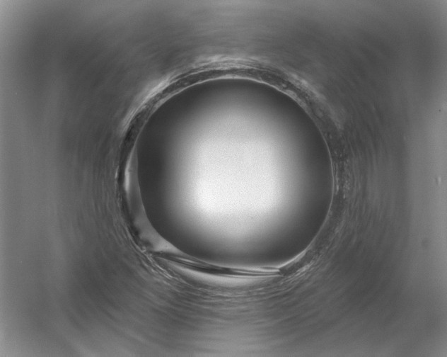 X0000053101261200507251621