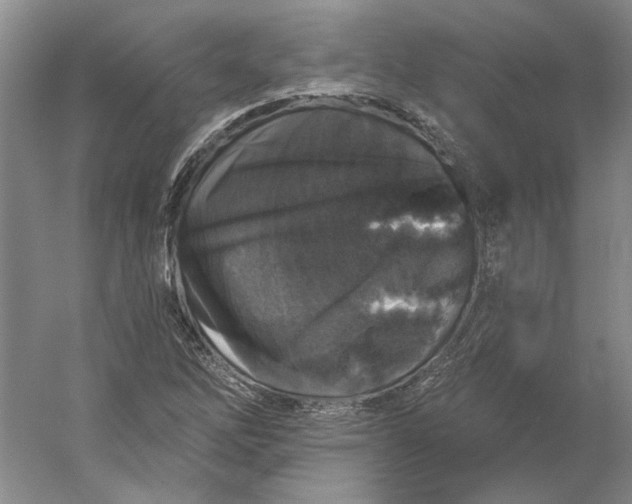 X0000053101262200507251621