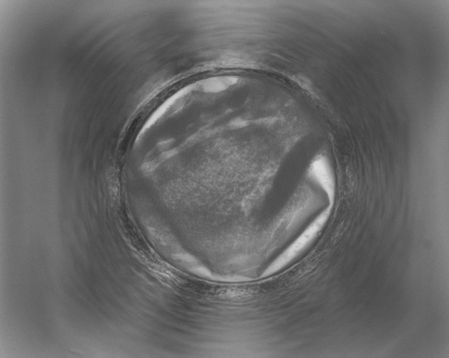 X0000053101266200507251621