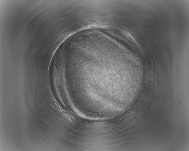 X0000053101268200507251621