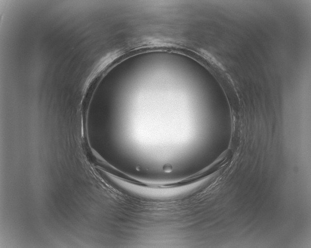X0000053101269200507251621