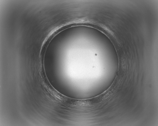X0000053101270200507251621