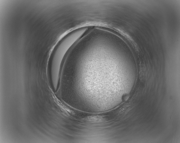 X0000053101272200507251621