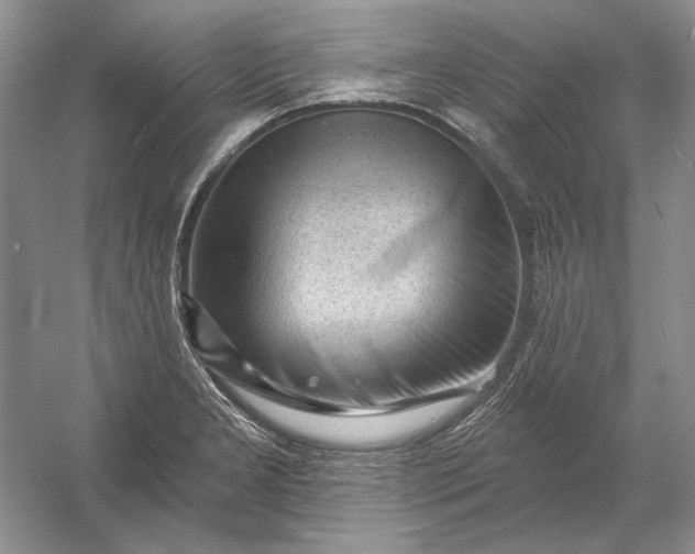 X0000053101277200507251621