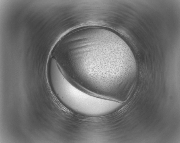 X0000053101280200507251621