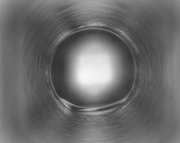 X0000053101281200507251621