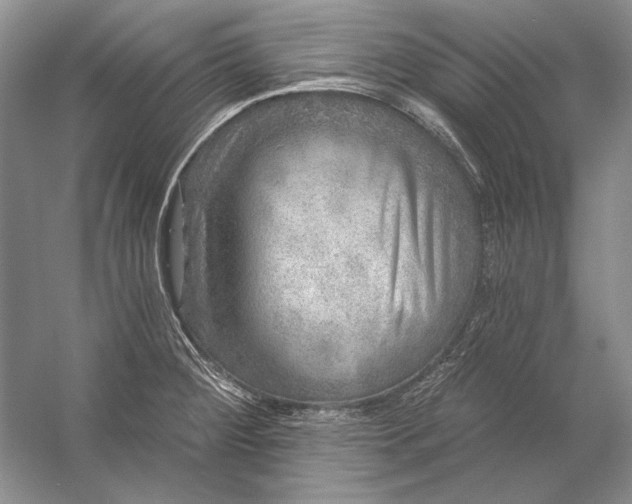 X0000053101284200507251621
