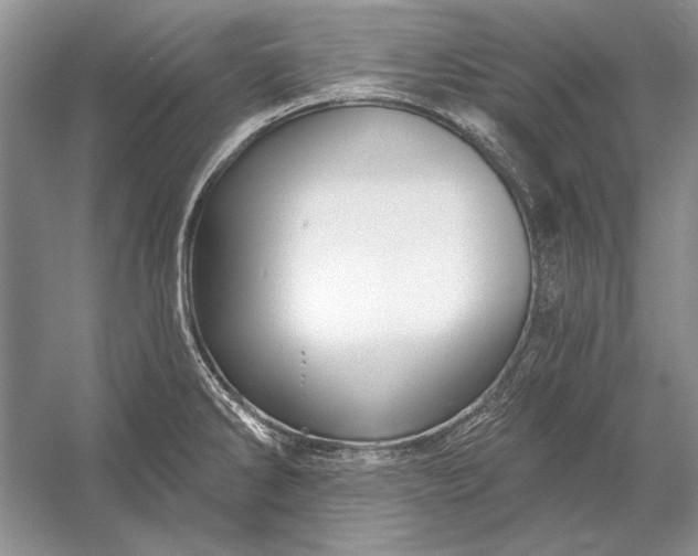 X0000053101286200507251621