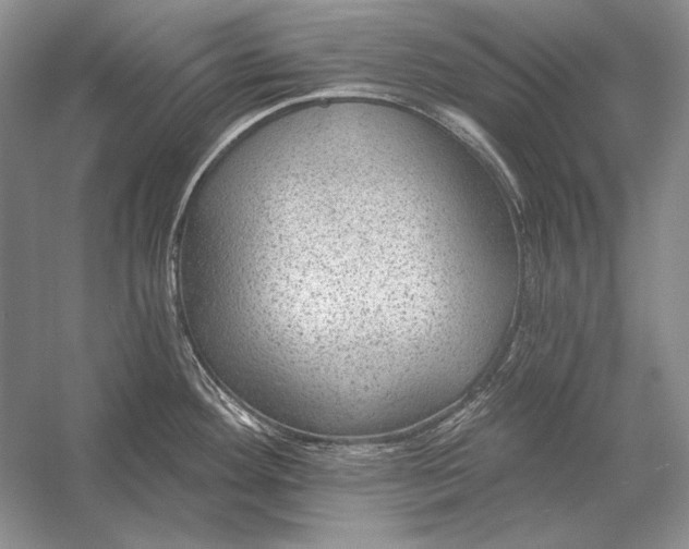 X0000053101292200507251621