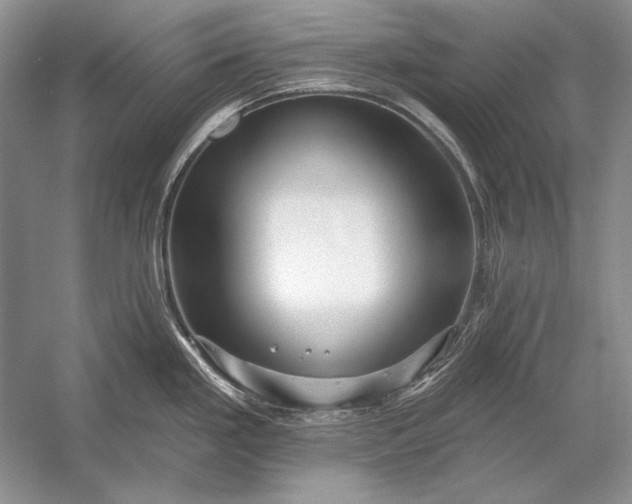 X0000053101293200507251621