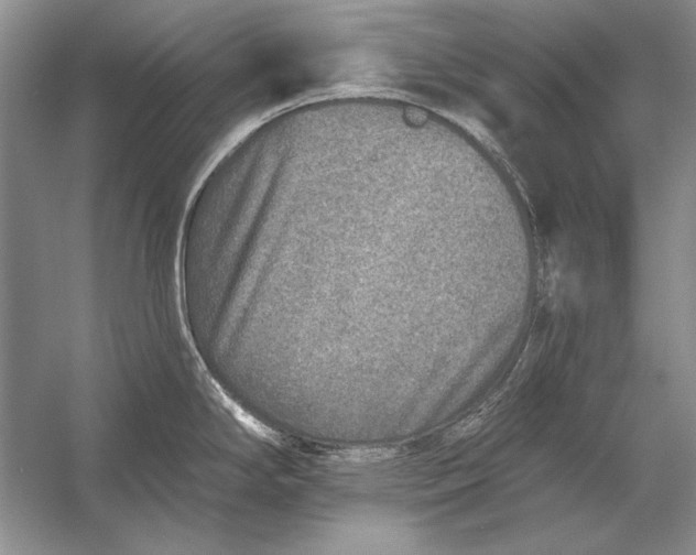 X0000053101294200507251621