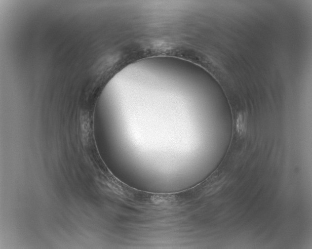 X0000053101299200507251620