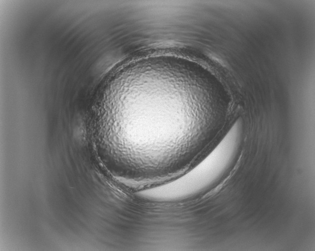 X0000053101305200507251620