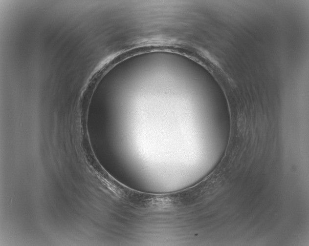 X0000053101315200507251620