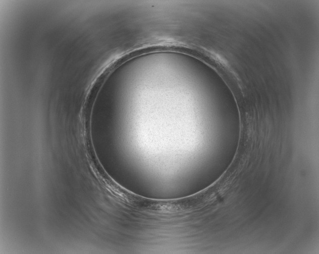 X0000053101318200507251620