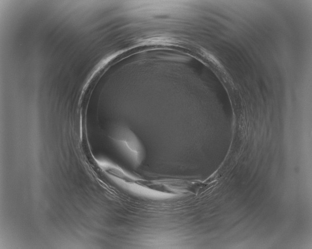 X0000053101323200507251620