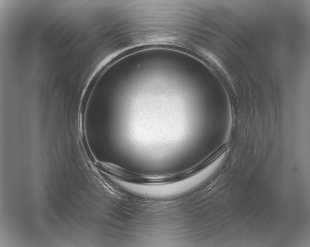 X0000053101324200507251620