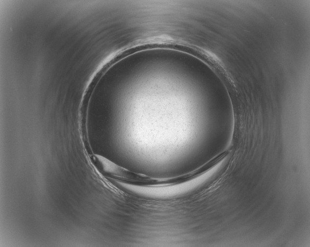 X0000053101326200507251620