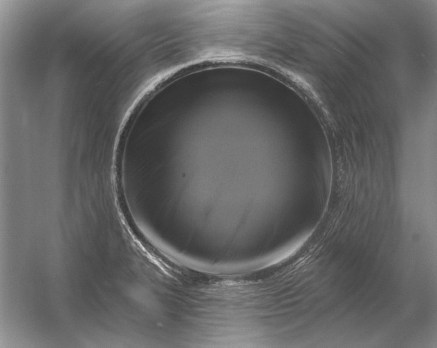 X0000053101327200507251621