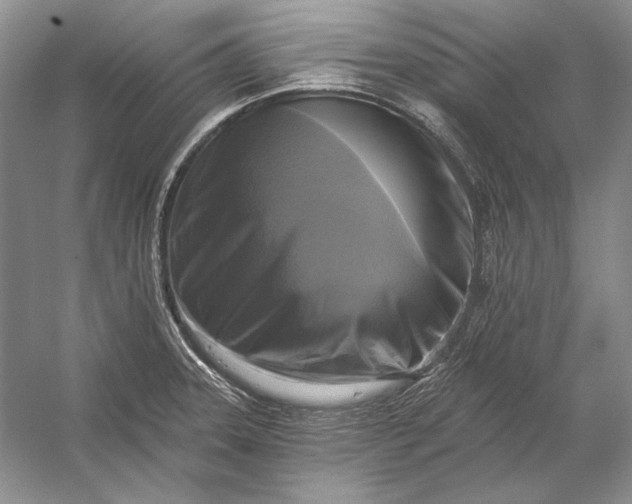 X0000053101331200507251621