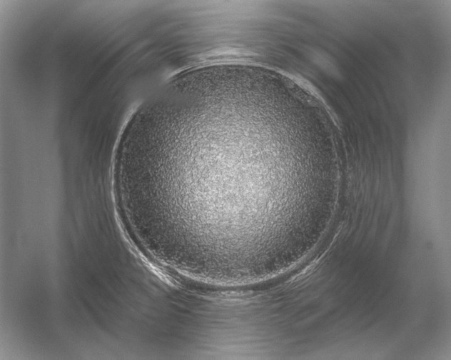 X0000053101333200507251621