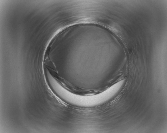 X0000053101334200507251621