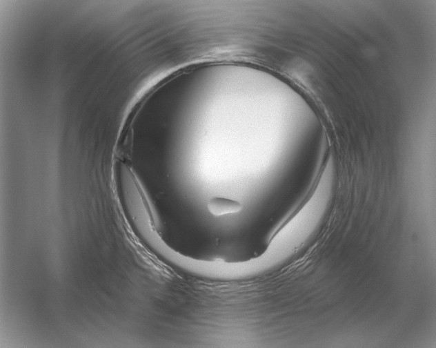 X0000053101336200507251621