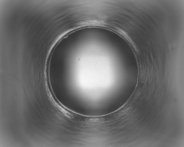 X0000053101339200507251621