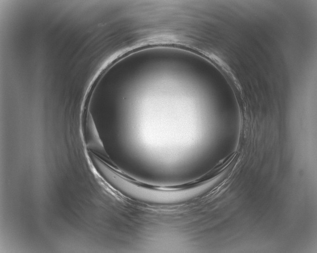 X0000053101342200507251621