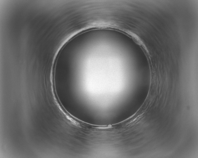 X0000053101343200507251621