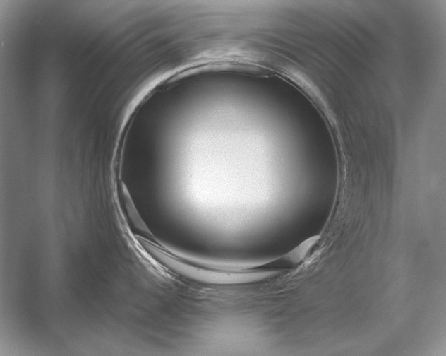 X0000053101344200507251621