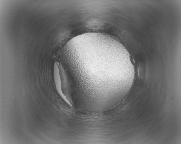 X0000053101347200507251620