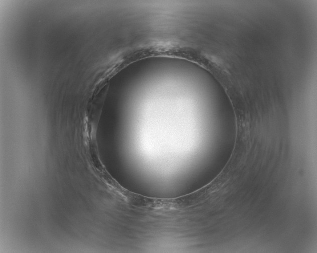 X0000053101349200507251620