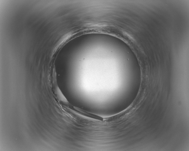 X0000053101354200507251620