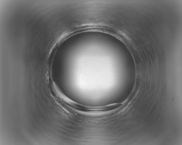 X0000053101357200507251620