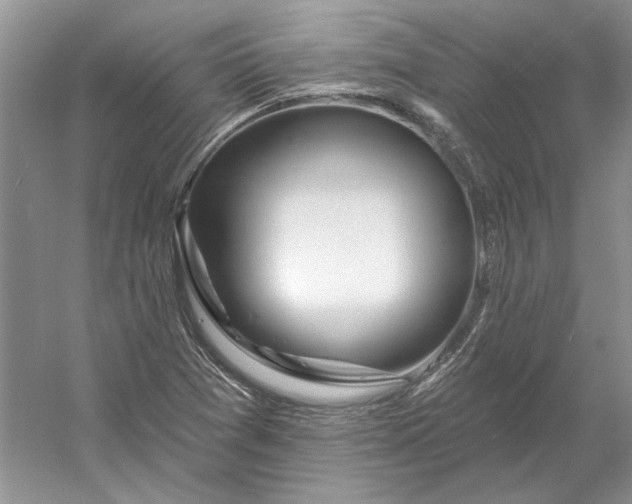 X0000053101361200507251620