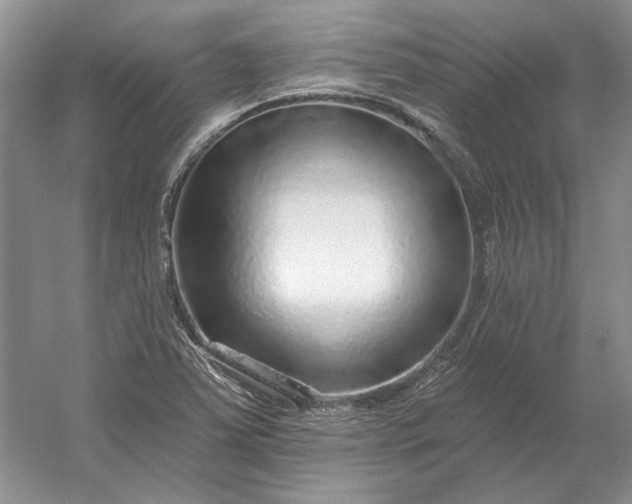 X0000053101363200507251620