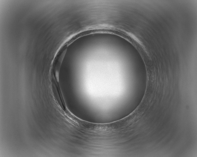 X0000053101364200507251620