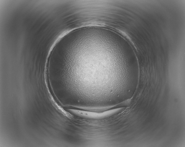 X0000053101379200507251619
