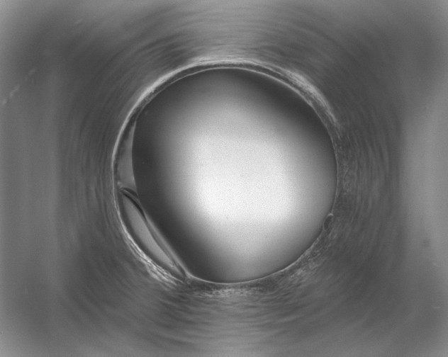 X0000053101380200507251619