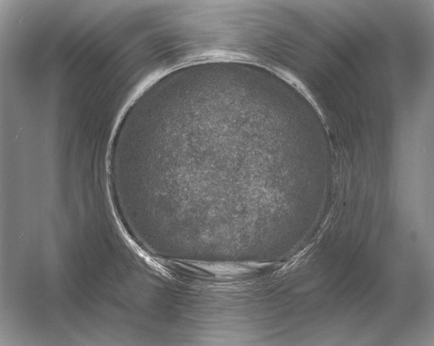 X0000053101381200507251619