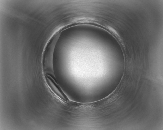 X0000053101384200507251619
