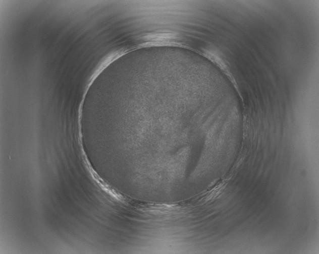 X0000053101386200507251619