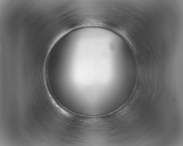 X0000053101387200507251619