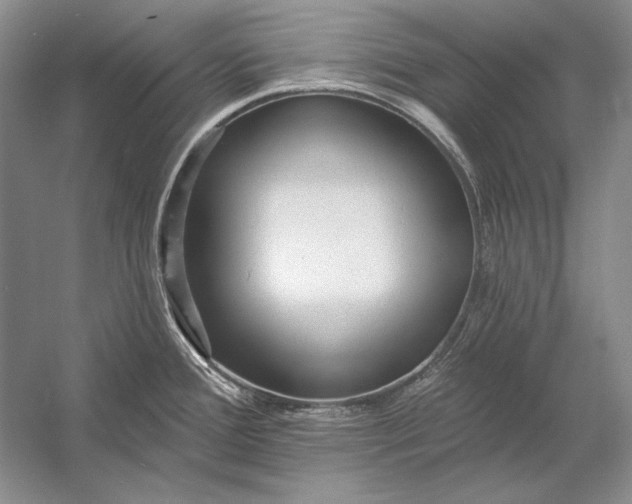X0000053101388200507251619