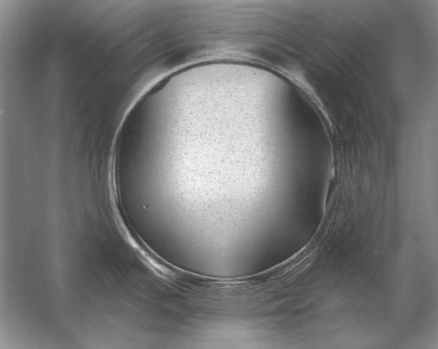 X0000053101391200507251619